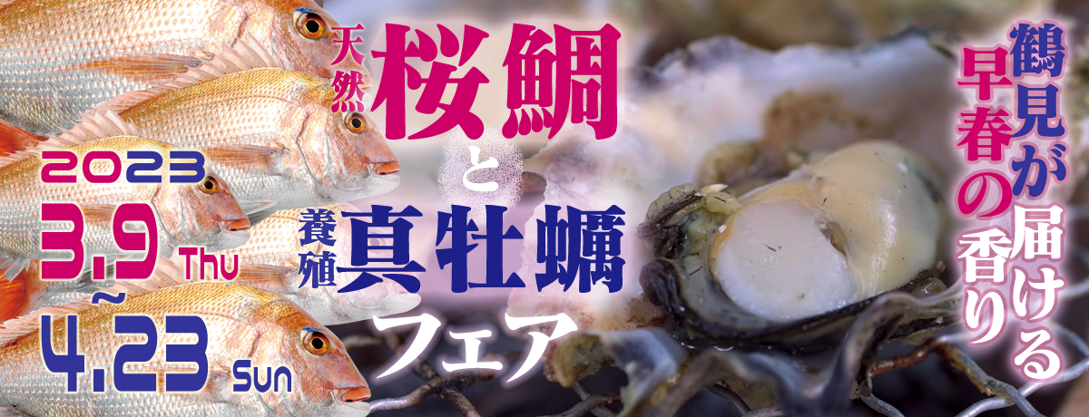 鶴見で桜鯛と真牡蠣のフェア開催