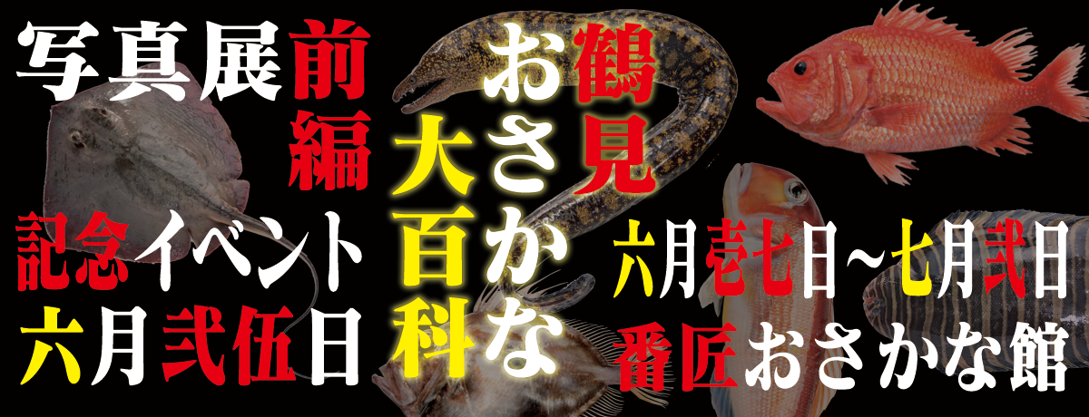 鶴見おさかな大百科写真展