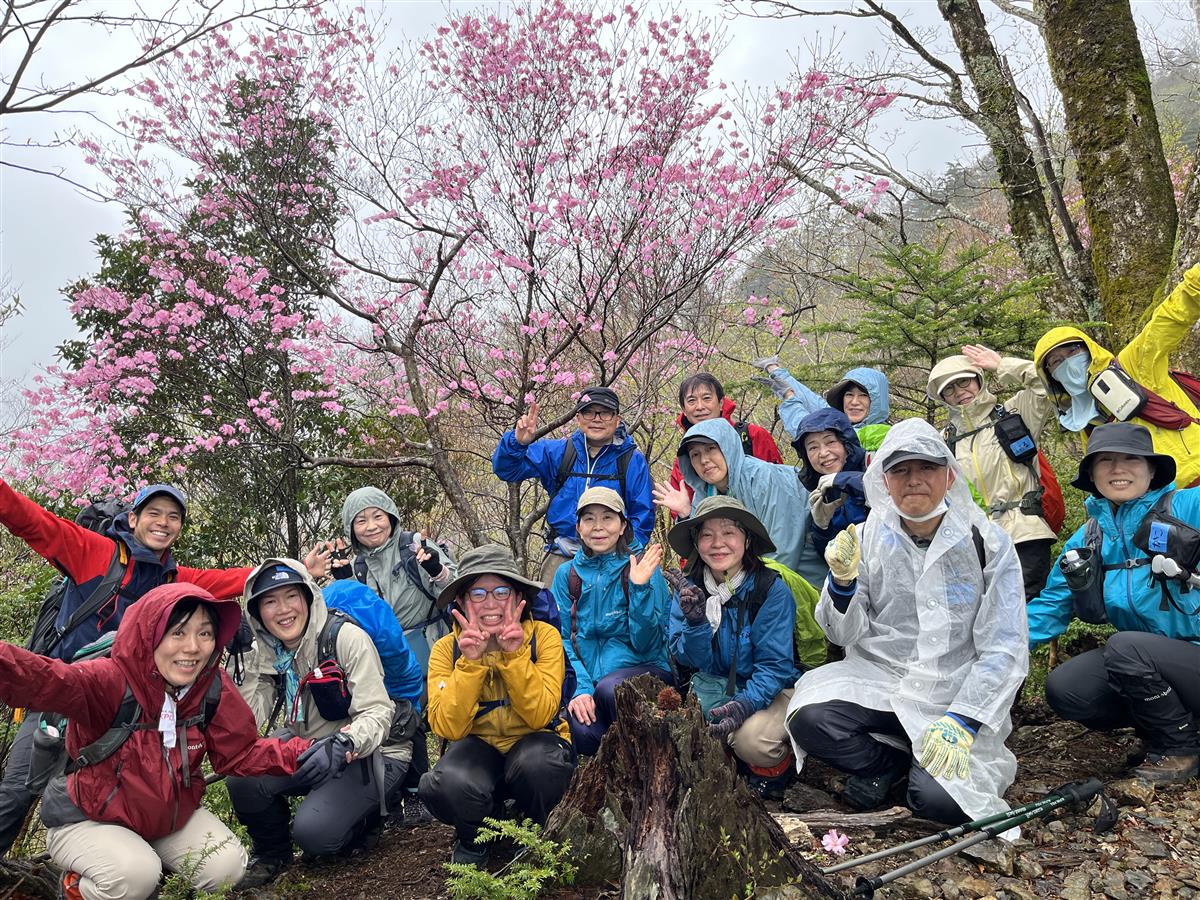 アケボノツツジ鑑賞登山