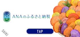 ANAふるさと納税2025