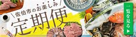 定期便