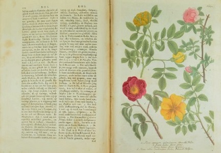 植物書