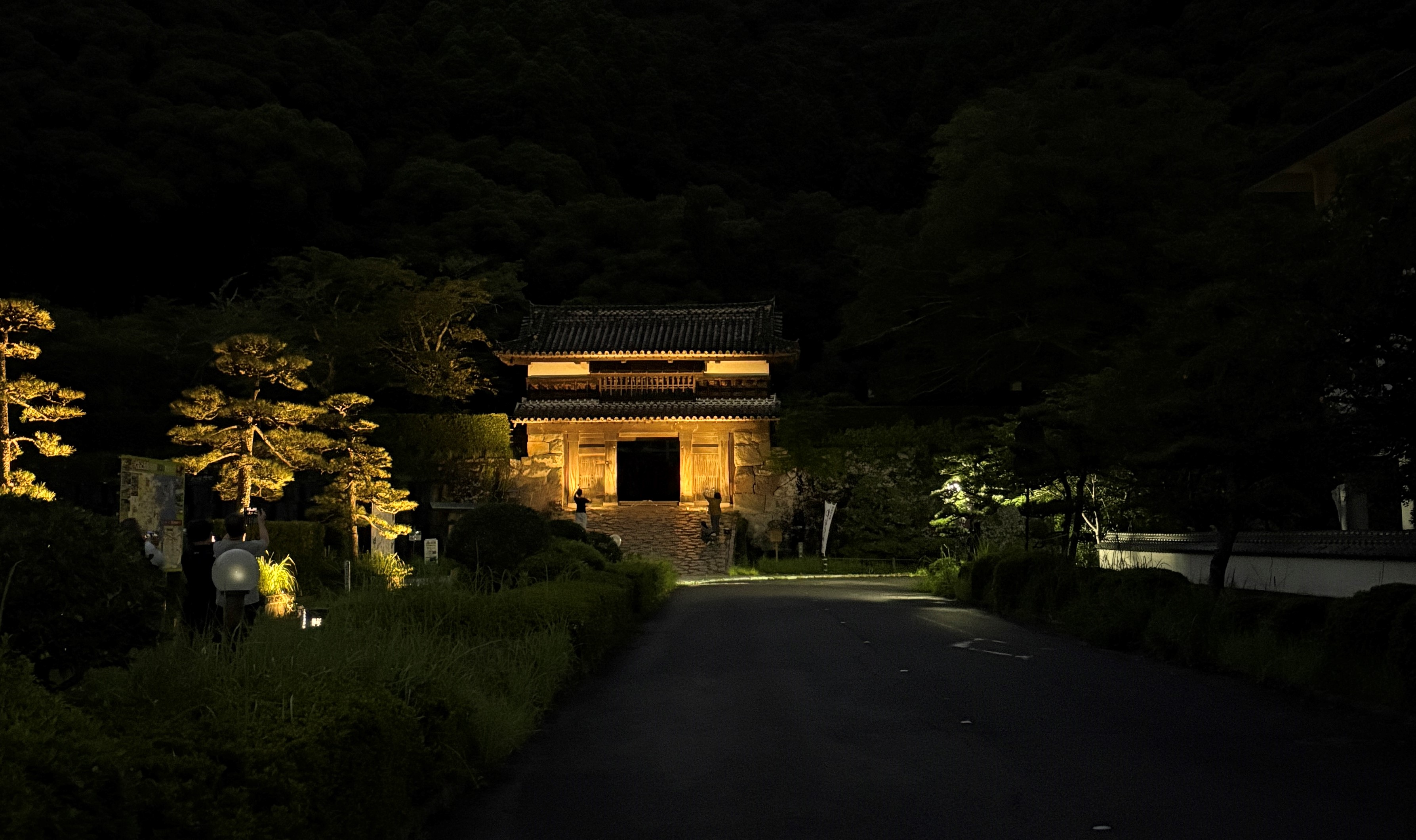 ライトアップ写真