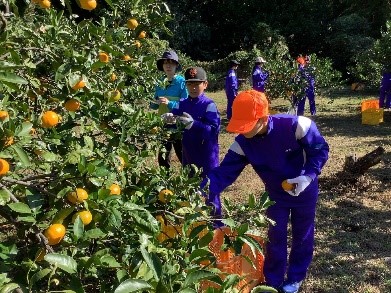 令和5年取組活動
