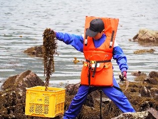 令和6年取組活動