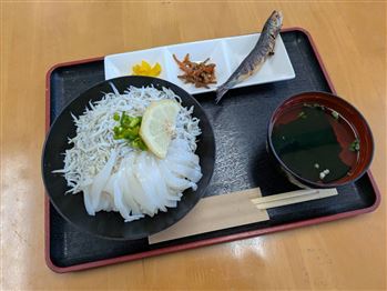 テラス（イカとシラスの2色丼）