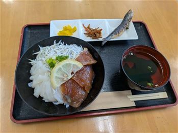 テラス（イカとりゅうきゅうとシラスの3色丼）