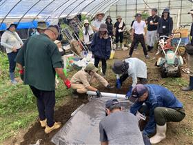 協力してマルチをかぶせる参加者