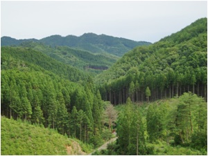 西南戦争の台場が築かれた黒土峠