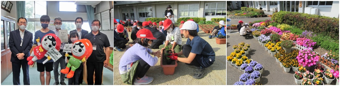 R2人権の花（佐伯東小）