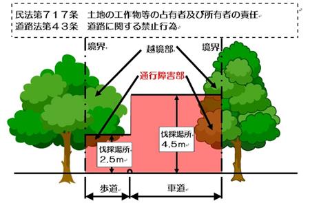 道路に張り出した木の状況