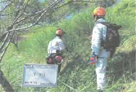 R6再造林担い手確保支援 下刈