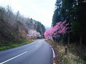 蔵小野～田代地区付近