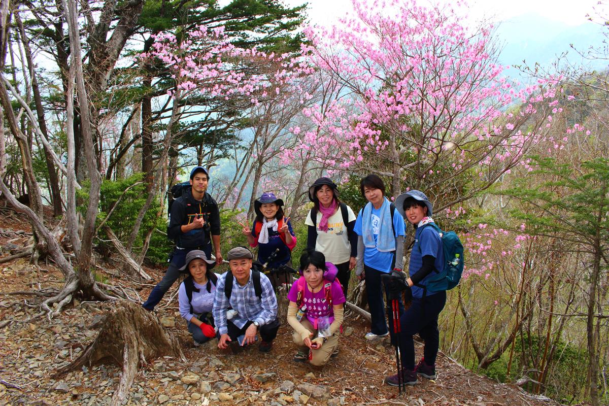 アケボノツツジ鑑賞登山