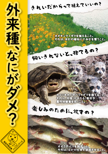 外来種、なにがダメ？きれいだからって植えていいの？飼いきれないと、捨てるの？楽しみのために、放すの？