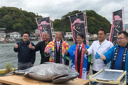 春の佐伯本まぐろフェア　ツナの極み期間延長プレスリリース