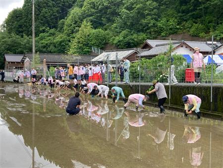 新嘗祭献穀斎田御田植式