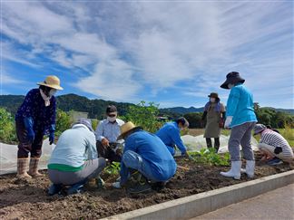 女島第2市民ふれあい農園　ふれあい講習会