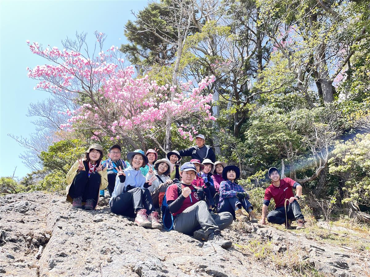 アケボノツツジ鑑賞登山