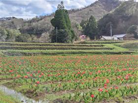 陶芸工房前付近