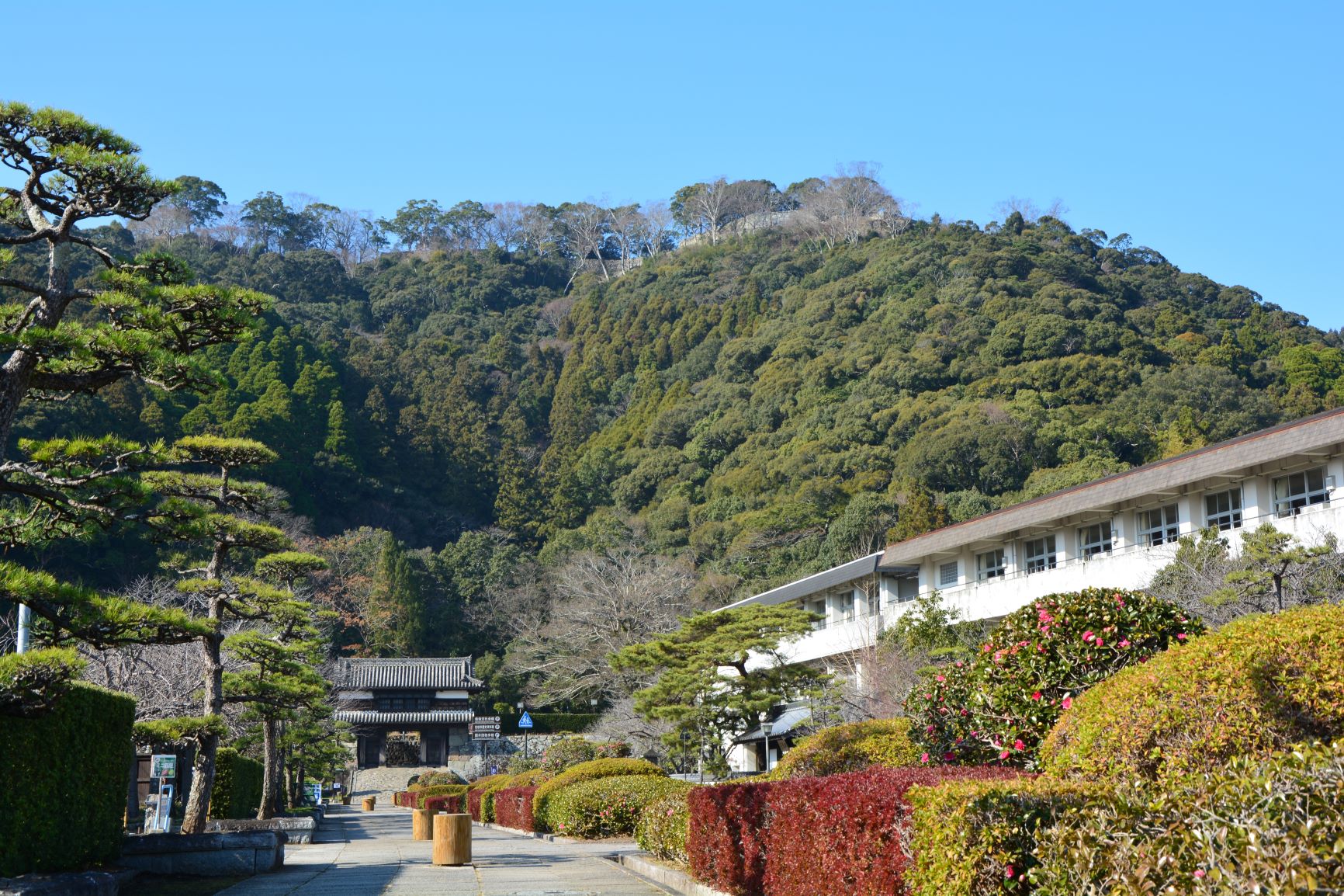 麓から見た城山