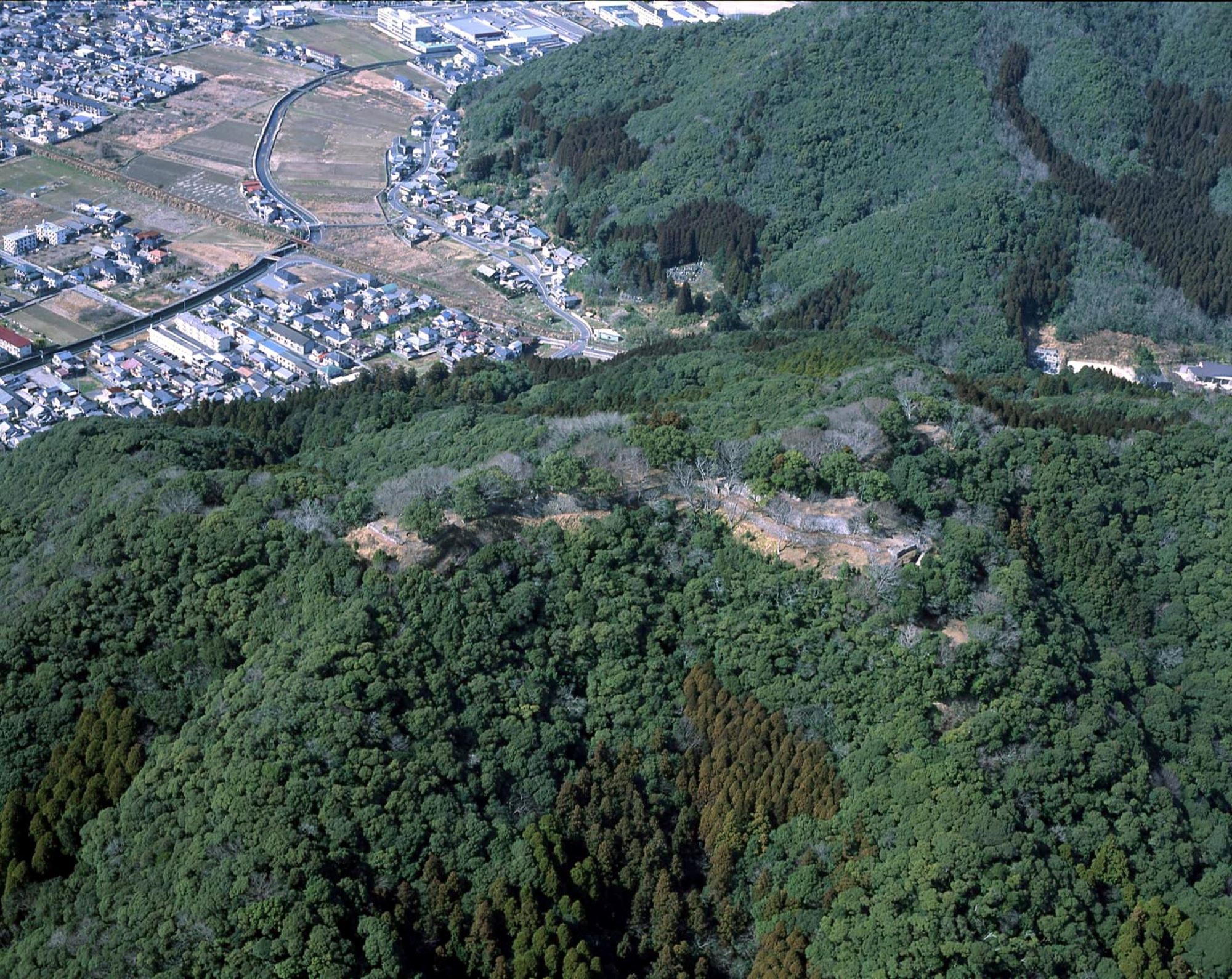 空から見た山城