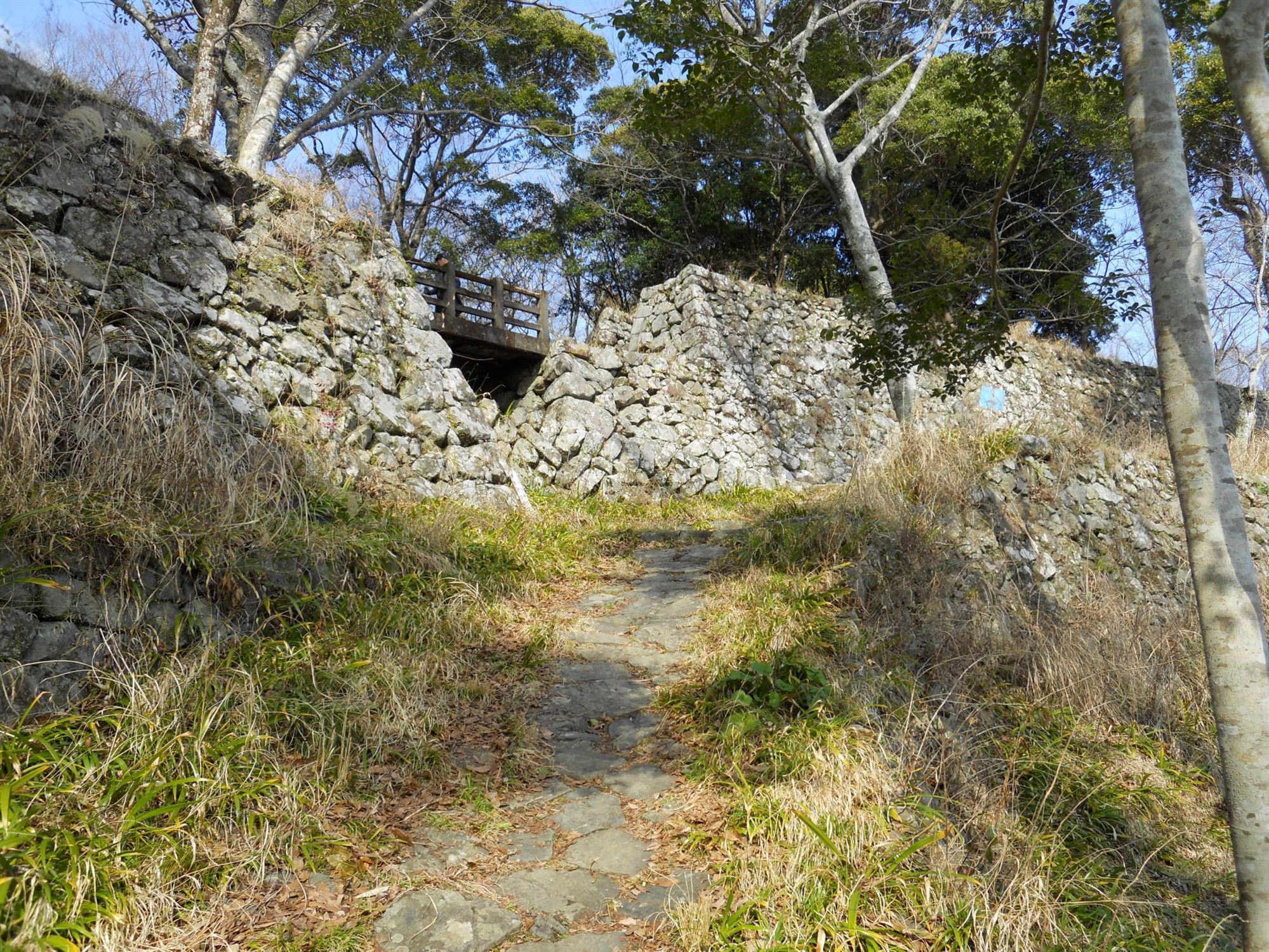 登城路（1）